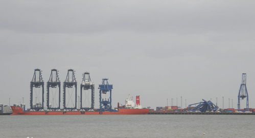 英国最大的集装箱港口拥堵严重,货运代理人不堪重负 费利克斯托